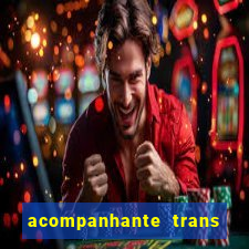 acompanhante trans porto seguro